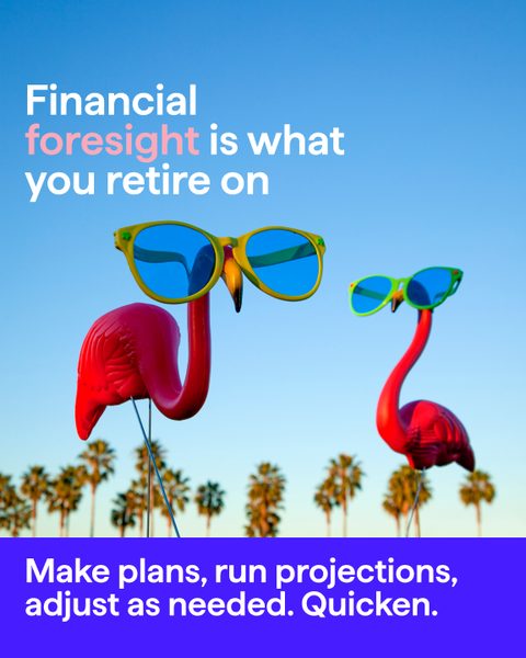 Financial foresight is what you retire on. Two flamingos in sunglasses. Make plans, run projections, adjust as needed. Quicken.
